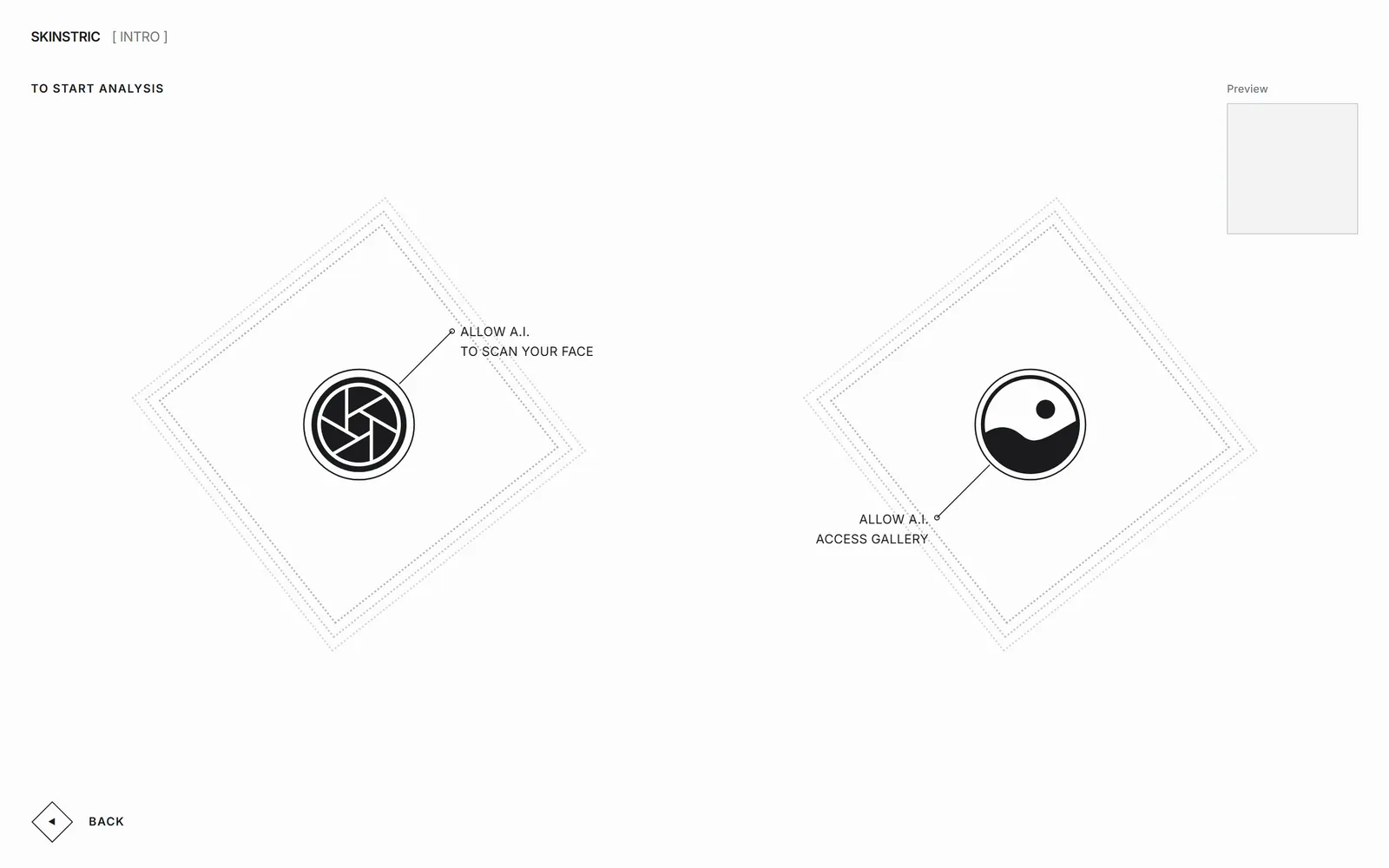Skinstric photo step with two diamond targets: allow A.I. to scan your face, and allow A.I. to access the gallery, plus an empty Preview box